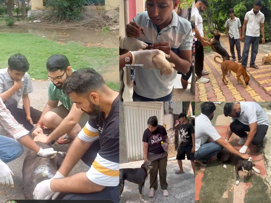 SKN Group & Vijay Lakshmi Welfare Trust support animal welfare with essential treatment for animals in need